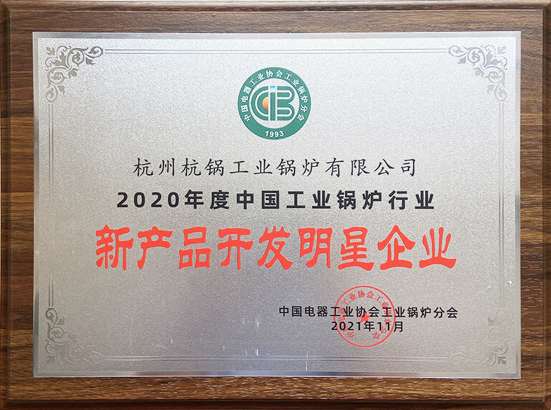 2020年中国工业锅炉行业新产品开发明星企业
